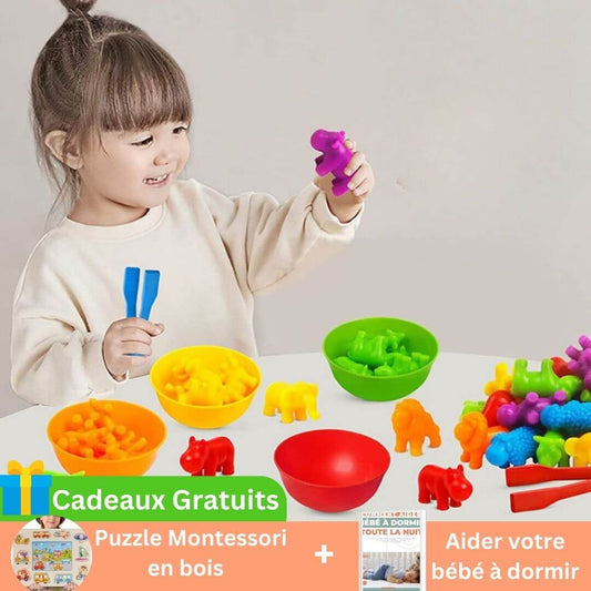 IntelligencePro™ - Jeu de tri Montessori enfant